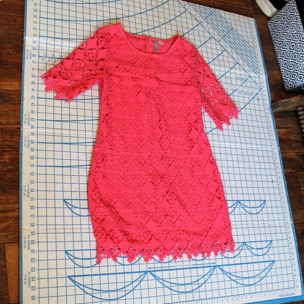ALYA Salmon Pink Lace Overlay Dress, Small - Picture 6 of 9